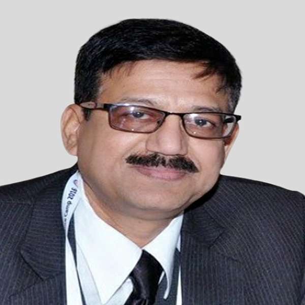 Committee Member